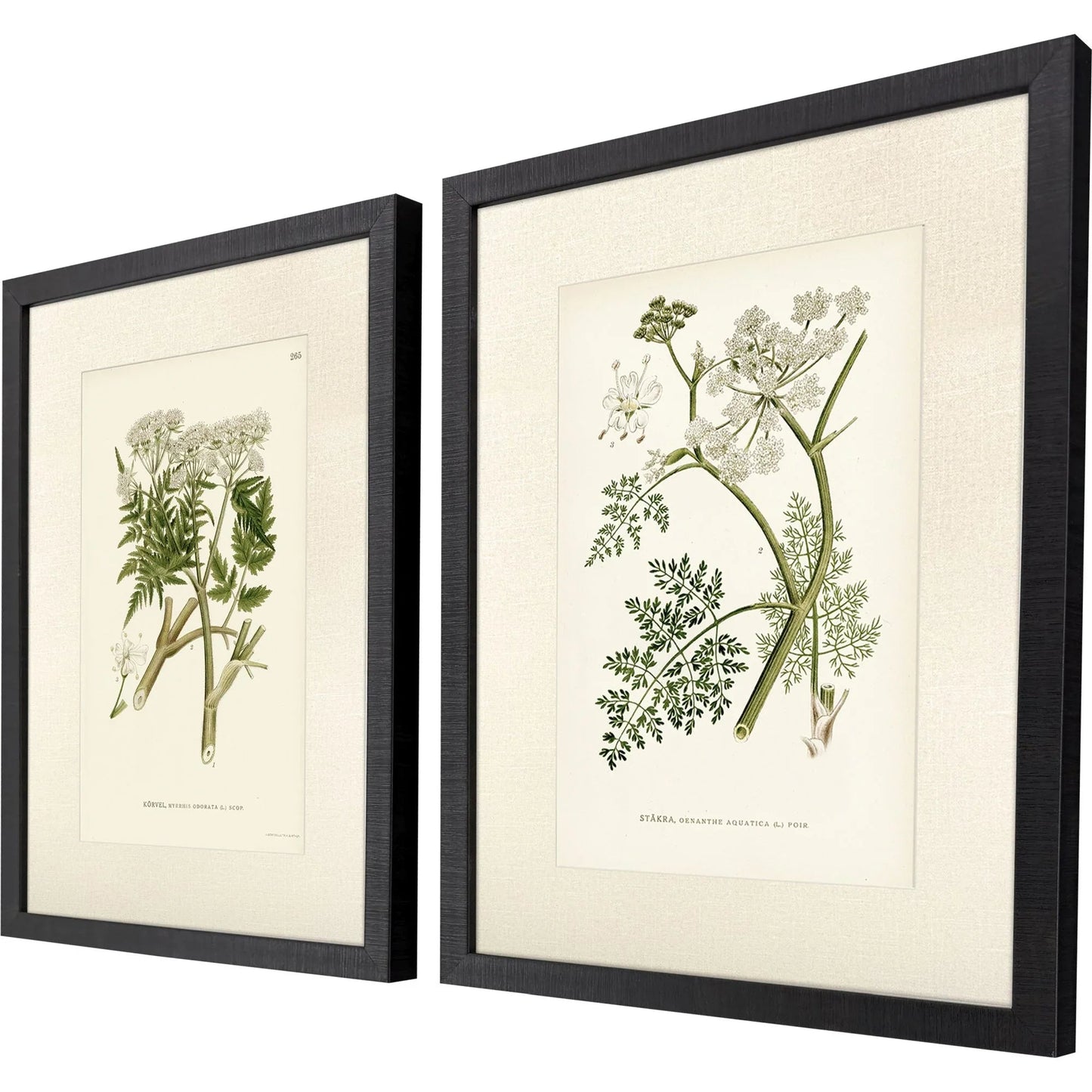 Queen's Lace Green Framed Wall Art 2PC