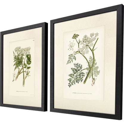 Queen's Lace Green Framed Wall Art 2PC