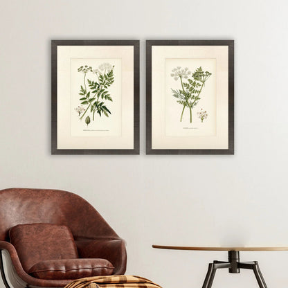 Queen's Lace Green Framed Wall Art 2PC