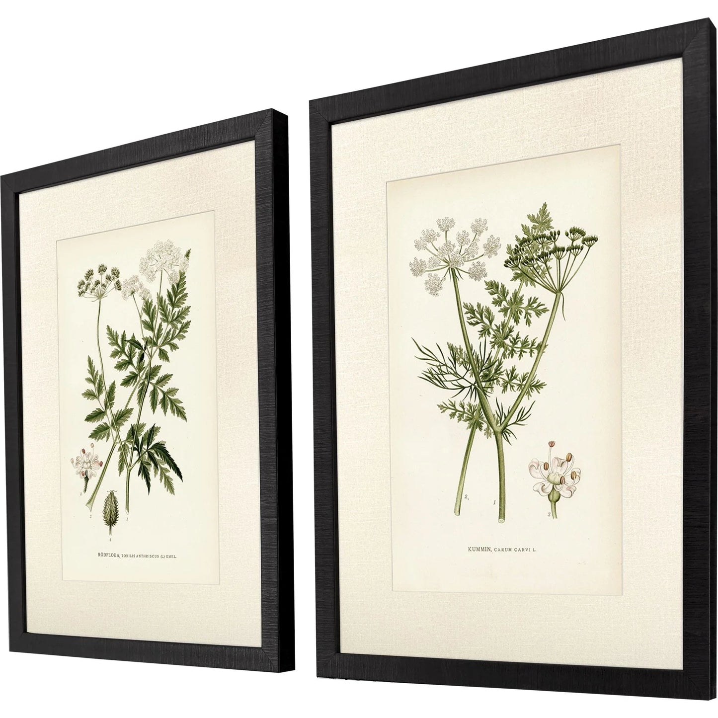 Queen's Lace Green Framed Wall Art 2PC