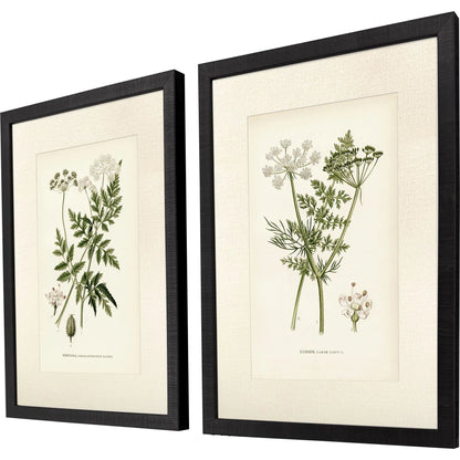 Queen's Lace Green Framed Wall Art 2PC