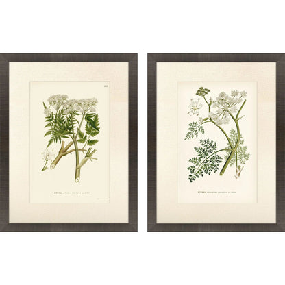 Queen's Lace Green Framed Wall Art 2PC