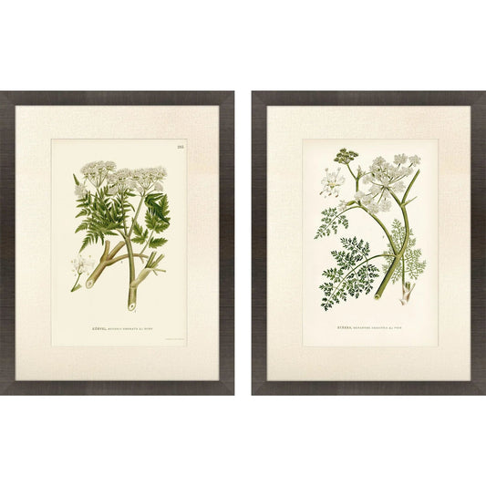 Queen's Lace Green Framed Wall Art 2PC