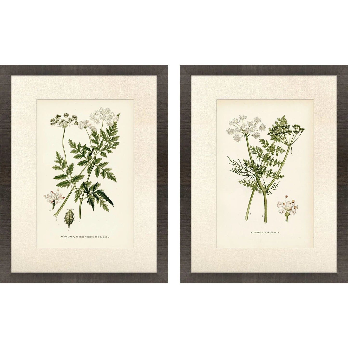 Queen's Lace Green Framed Wall Art 2PC