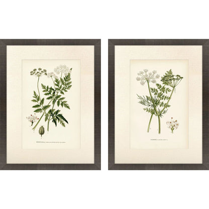 Queen's Lace Green Framed Wall Art 2PC