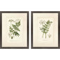 Queen's Lace Green Framed Wall Art 2PC