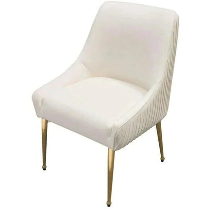 Quinn Velvet Armless Dining Chair 2PC - LOOMLAN - Diamond Sofa - Dining Chairs