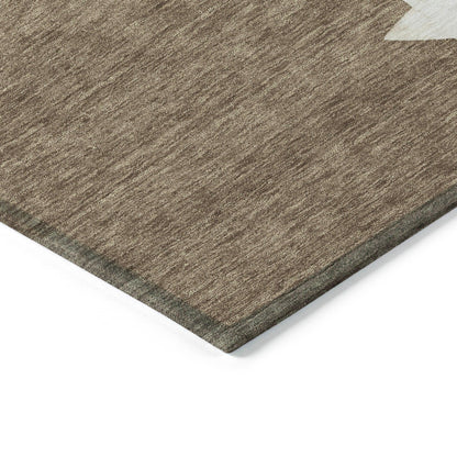 Raeain Brown Washable Indoor-Outdoor Rug