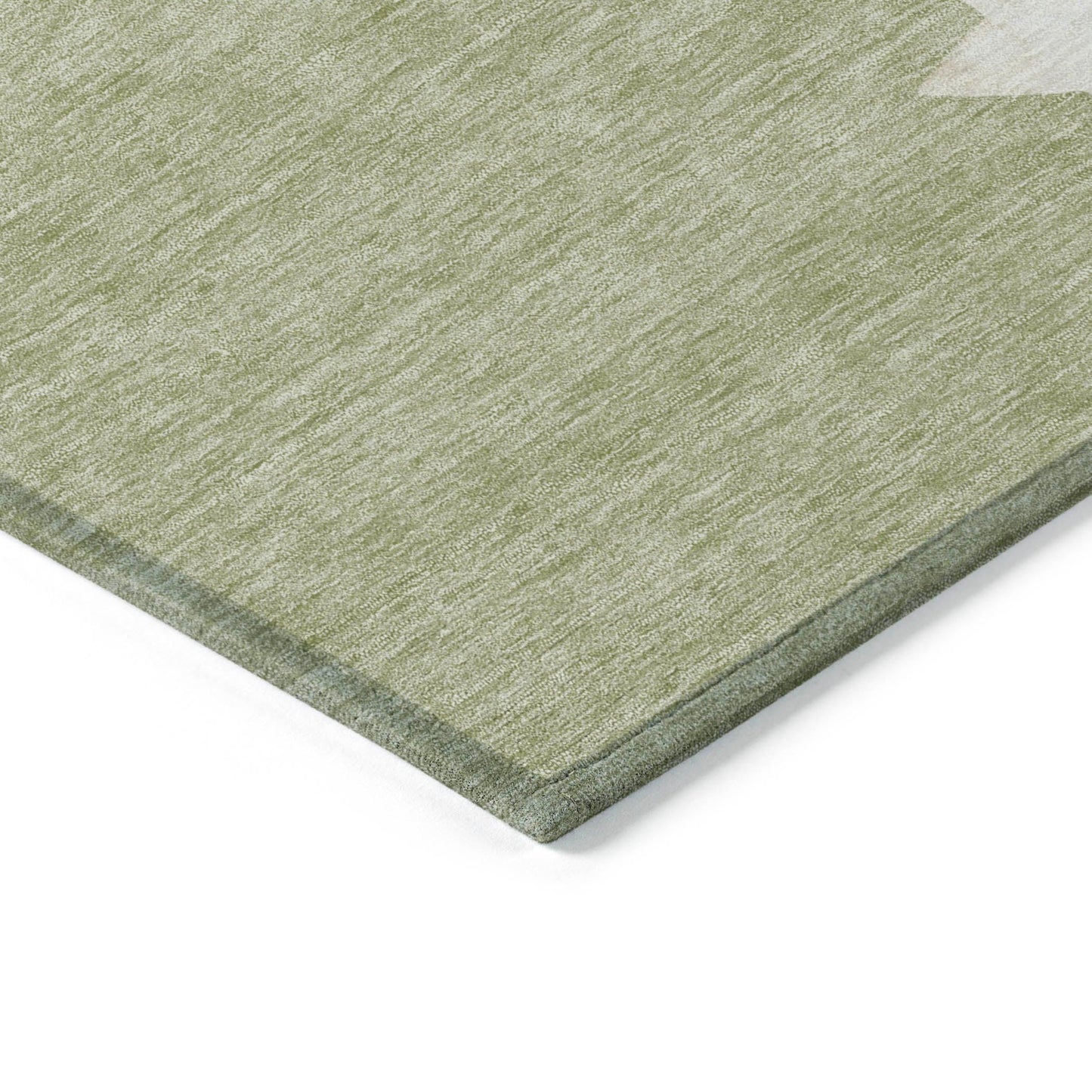Raeain Green Washable Indoor-Outdoor Rug