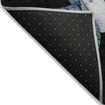 Raeanor Black Washable Indoor-Outdoor Rug