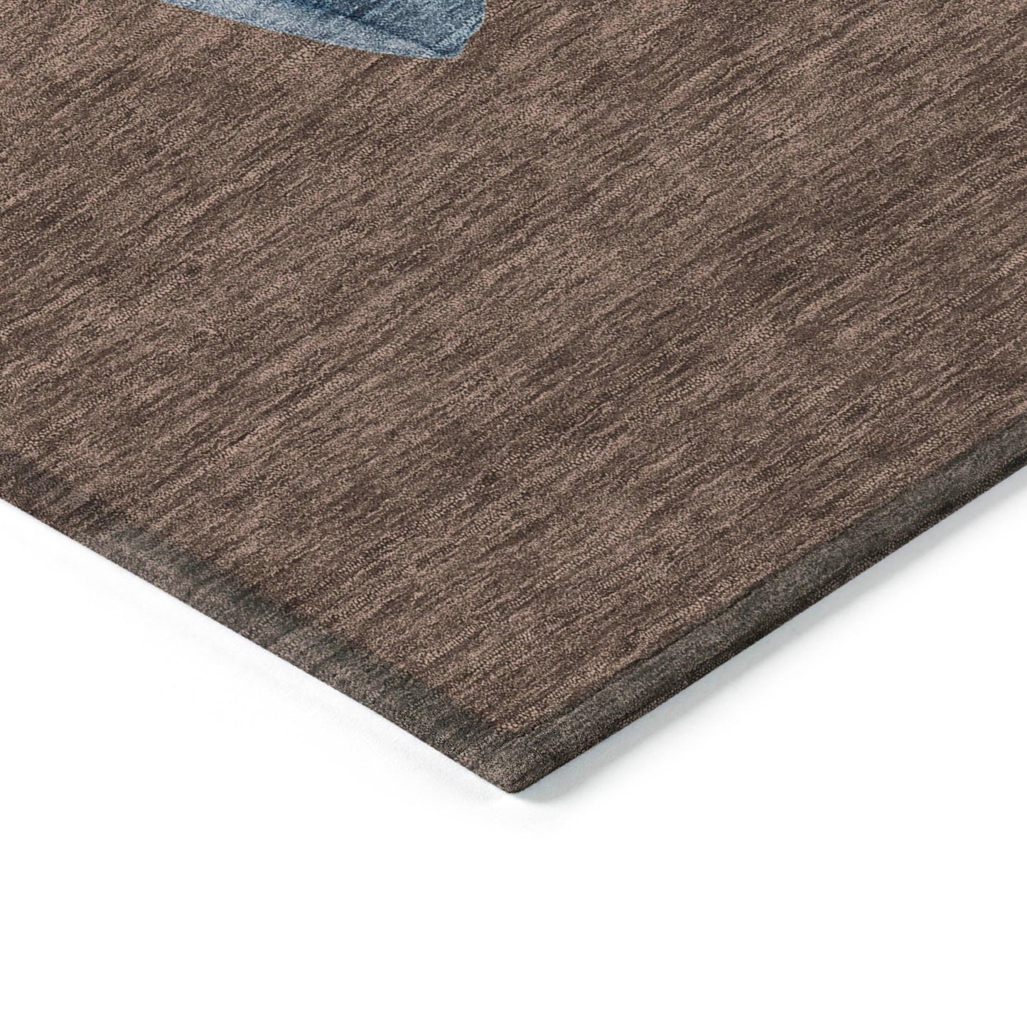 Raeanor Brown Washable Indoor-Outdoor Rug