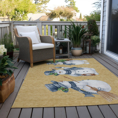 Raeanor Gold Washable Indoor-Outdoor Rug