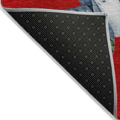 Raeanor Red Washable Indoor-Outdoor Rug