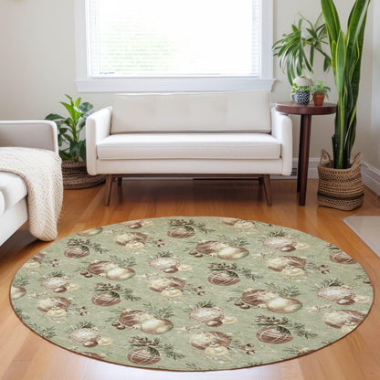 Raearis Aloe Washable Indoor-Outdoor Rug