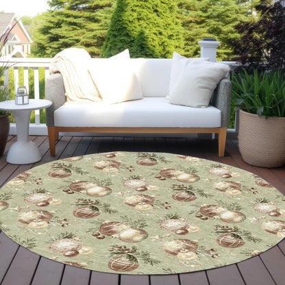 Raearis Aloe Washable Indoor-Outdoor Rug