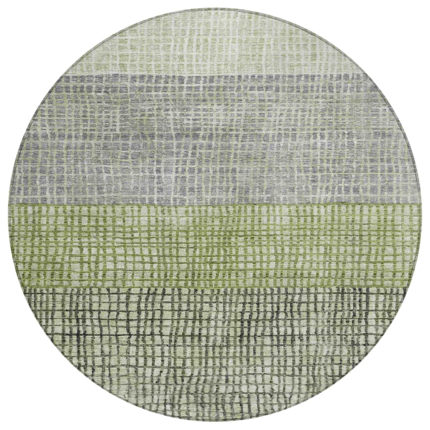 Raeon Aloe Washable Indoor-Outdoor Rug