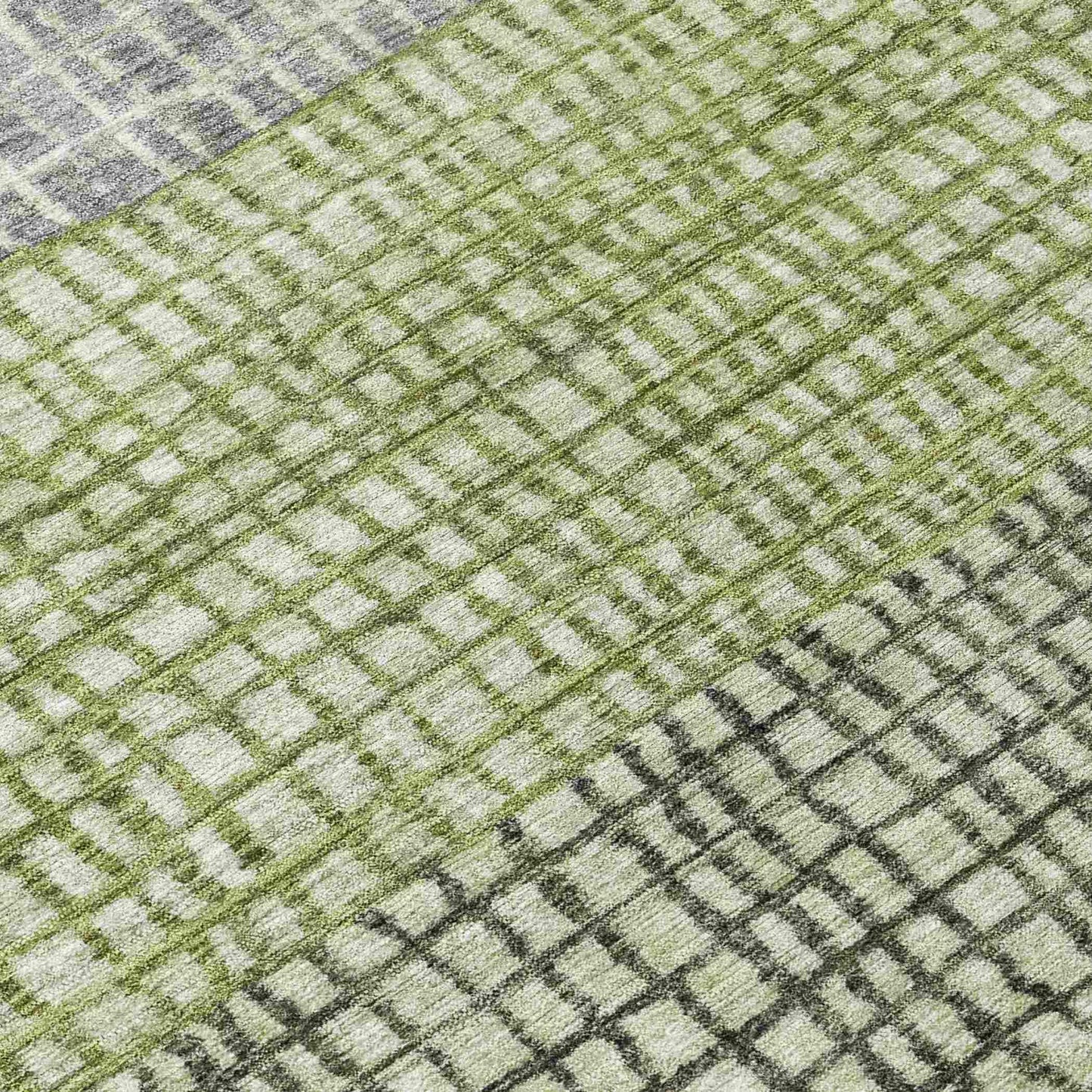 Raeon Aloe Washable Indoor-Outdoor Rug