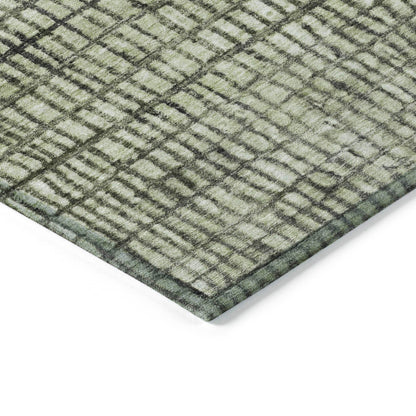 Raeon Aloe Washable Indoor-Outdoor Rug