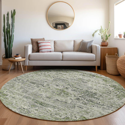 Raeor Aloe Washable Indoor-Outdoor Rug
