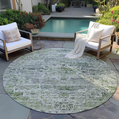 Raeor Aloe Washable Indoor-Outdoor Rug