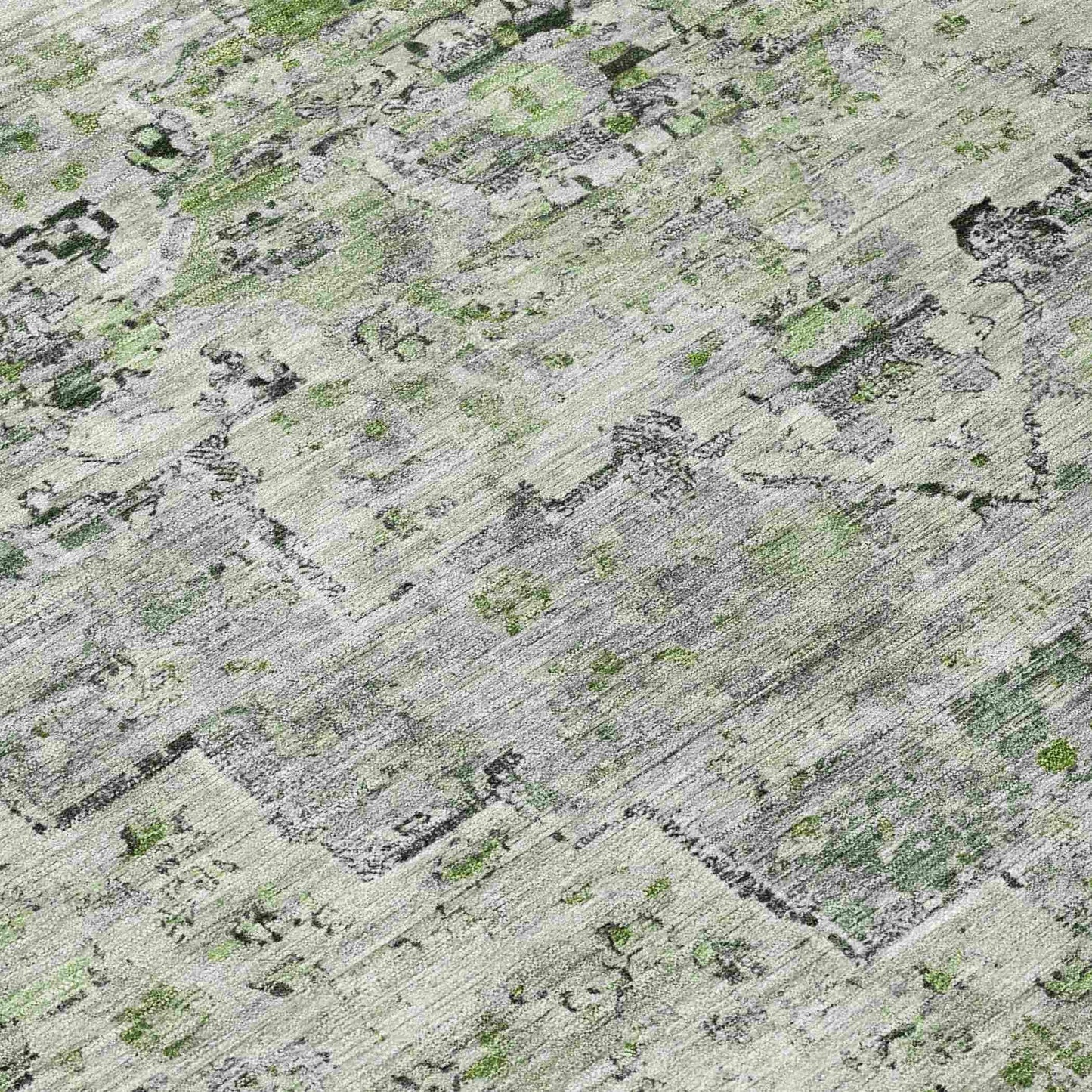 Raeor Aloe Washable Indoor-Outdoor Rug