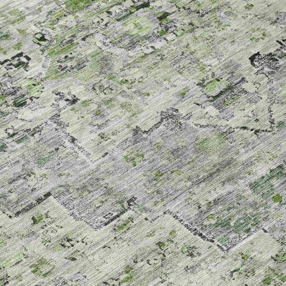 Raeor Aloe Washable Indoor-Outdoor Rug