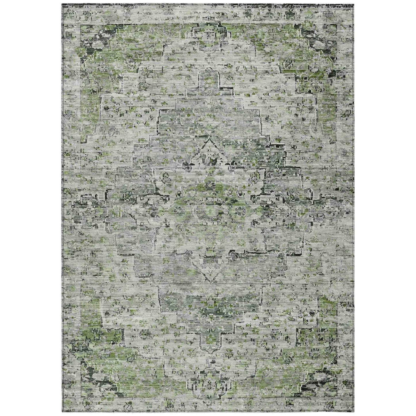 Raeor Aloe Washable Indoor-Outdoor Rug