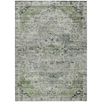 Raeor Aloe Washable Indoor-Outdoor Rug