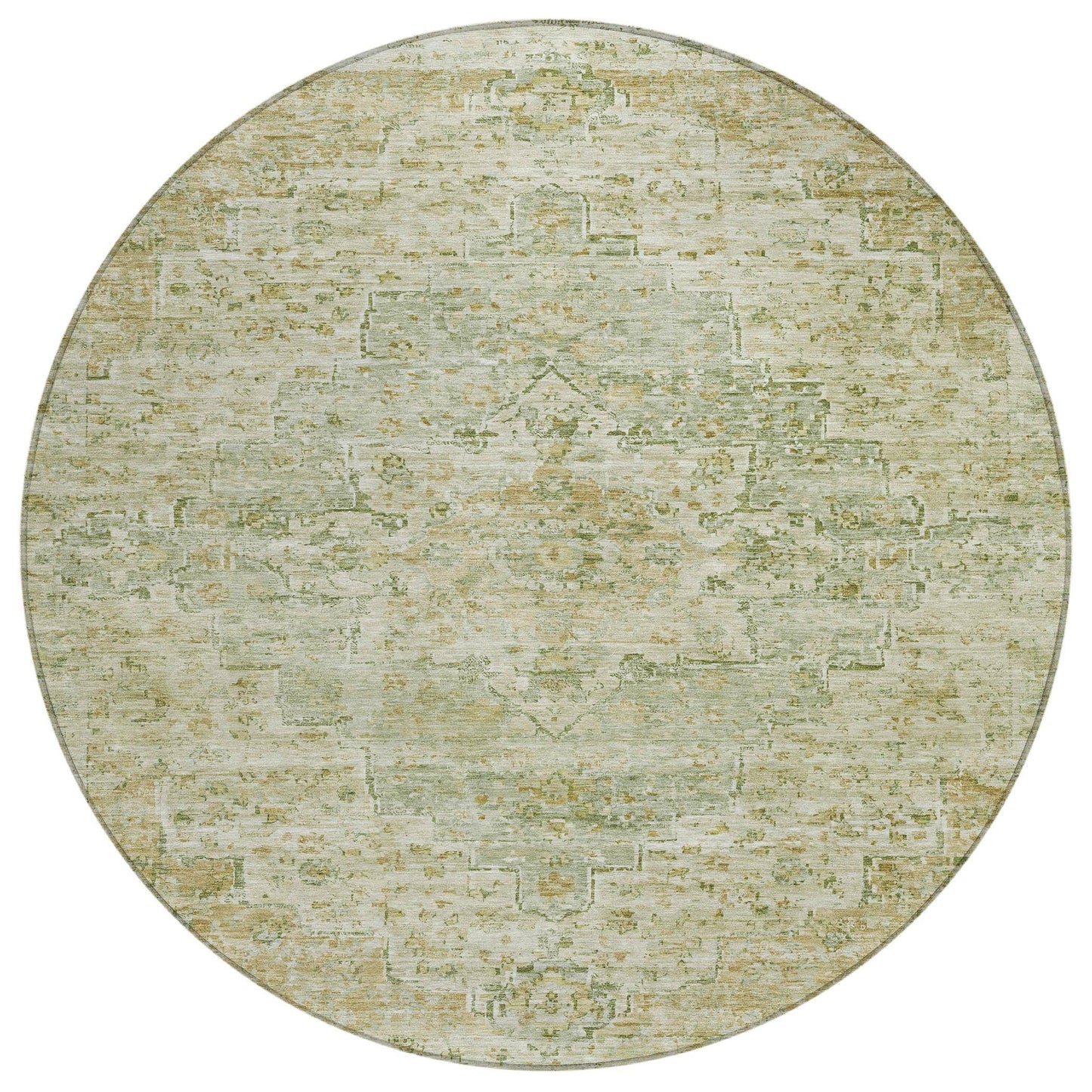 Raeor Green Washable Indoor-Outdoor Rug