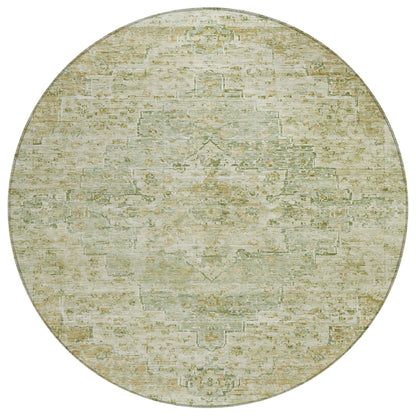 Raeor Green Washable Indoor-Outdoor Rug