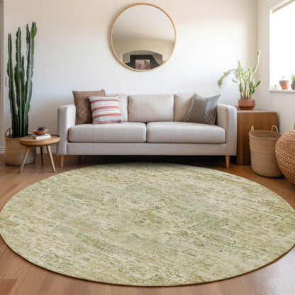 Raeor Green Washable Indoor-Outdoor Rug