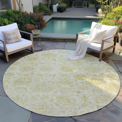 Raeora Gold Washable Indoor-Outdoor Rug