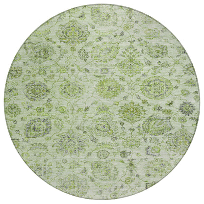 Raeora Green Washable Indoor-Outdoor Rug