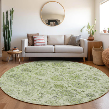 Raeora Green Washable Indoor-Outdoor Rug