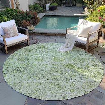 Raeora Green Washable Indoor-Outdoor Rug