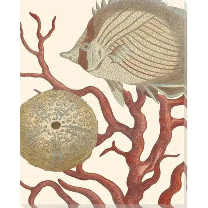 Reef Life Coastal Wall Art Indoor Outdoor - LOOMLAN - LOOMLAN - Canvas Art