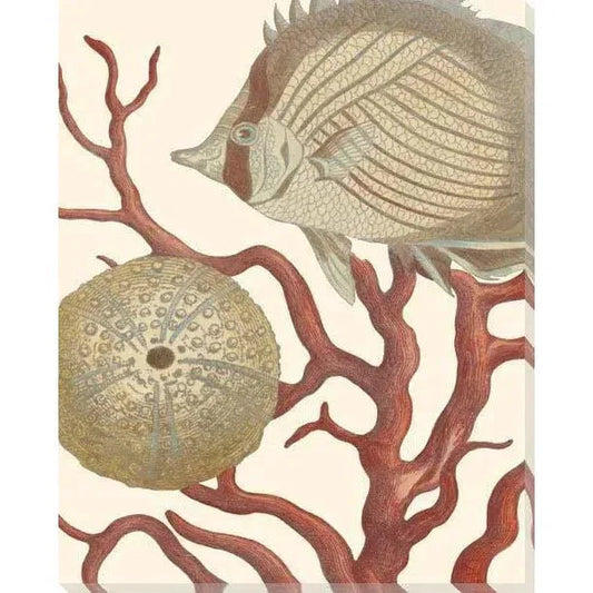 Reef Life Coastal Wall Art Indoor Outdoor - LOOMLAN - LOOMLAN - Canvas Art