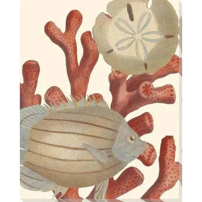 Reef Life Coastal Wall Art Indoor Outdoor - LOOMLAN - LOOMLAN - Canvas Art