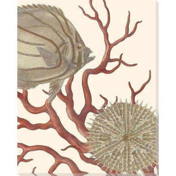 Reef Life Coastal Wall Art Indoor Outdoor - LOOMLAN - LOOMLAN - Canvas Art