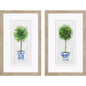 Rosemary Thyme Green Framed Wall Art 2PC
