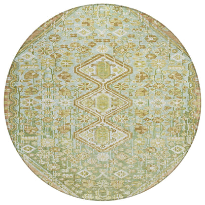 Saelain Green Washable Indoor-Outdoor Rug