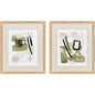 Sage Treasures II Green Framed Wall Art 2PC