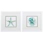 Sandstar Glass Front Framed Wall Art 2PC