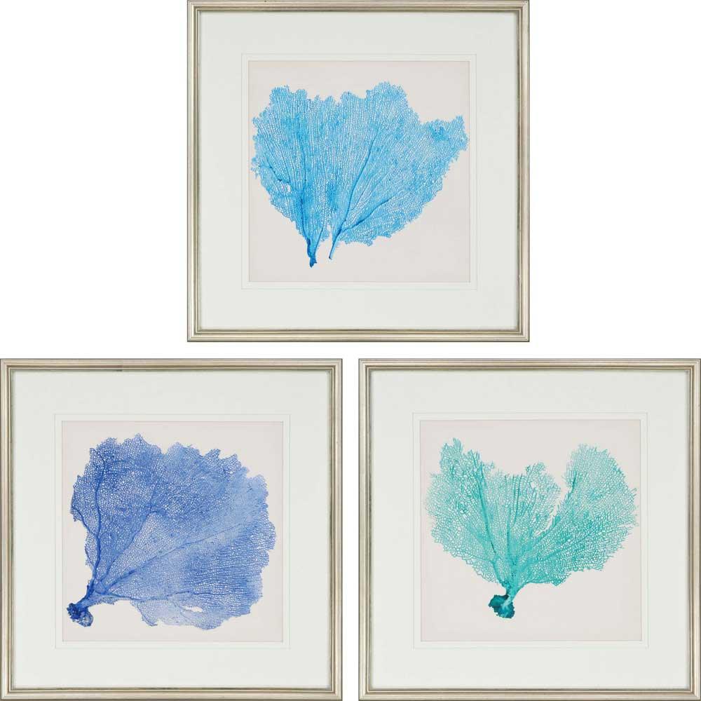 Sea Fan II Wood Blue Framed Wall Art 3PC
