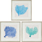 Sea Fan II Wood Blue Framed Wall Art 3PC