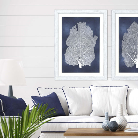 Sea Fan on Blue Wood Framed Wall Art