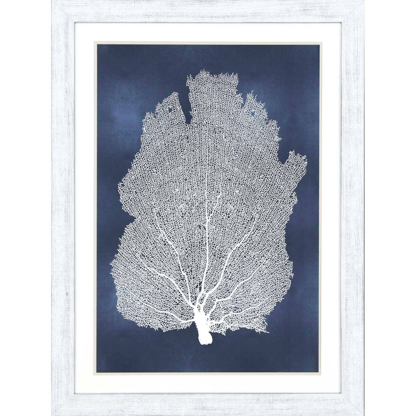 Sea Fan on Blue Wood Framed Wall Art