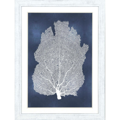 Sea Fan on Blue Wood Framed Wall Art