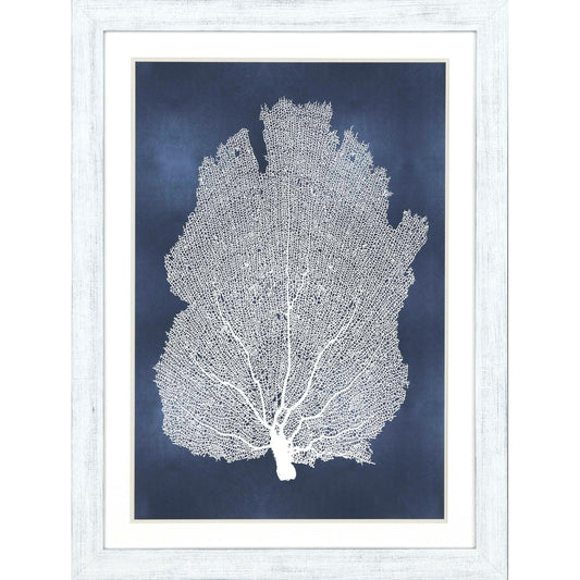 Sea Fan on Blue Wood Framed Wall Art
