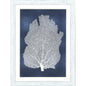 Sea Fan on Blue Wood Framed Wall Art